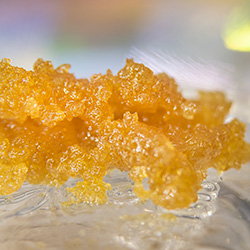 Sugar Wax product example